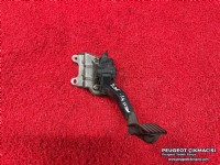 PEUGEOT 206 ELKTRONİK GAZ PEDALI 1601T1 0280755074 9659449880
