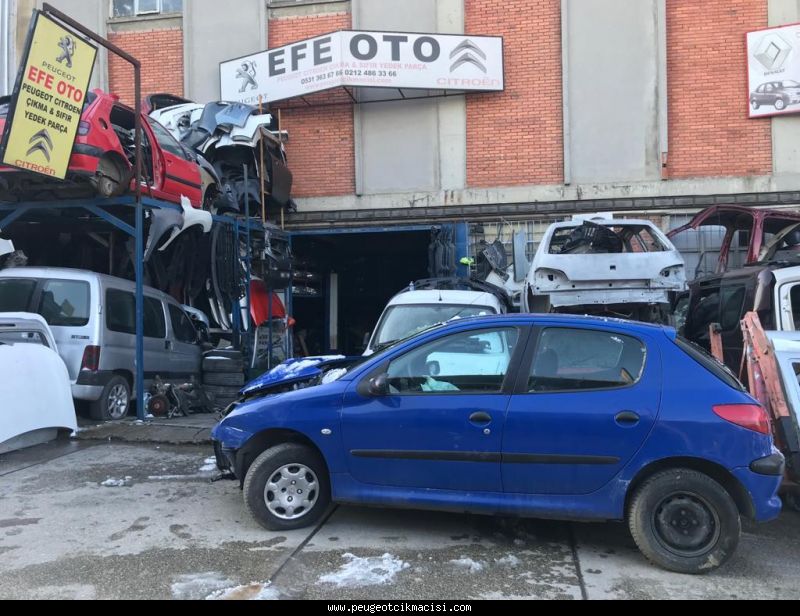 PEUGEOT 206 SOL ARKA KAPI