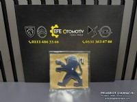 PEUGEOT 607 BAGAJ ARMASI 