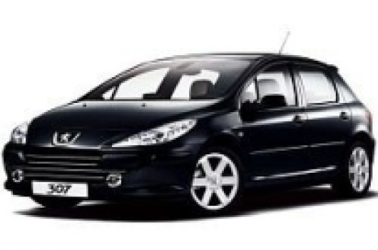 Peugeot 307 Yedek Parça